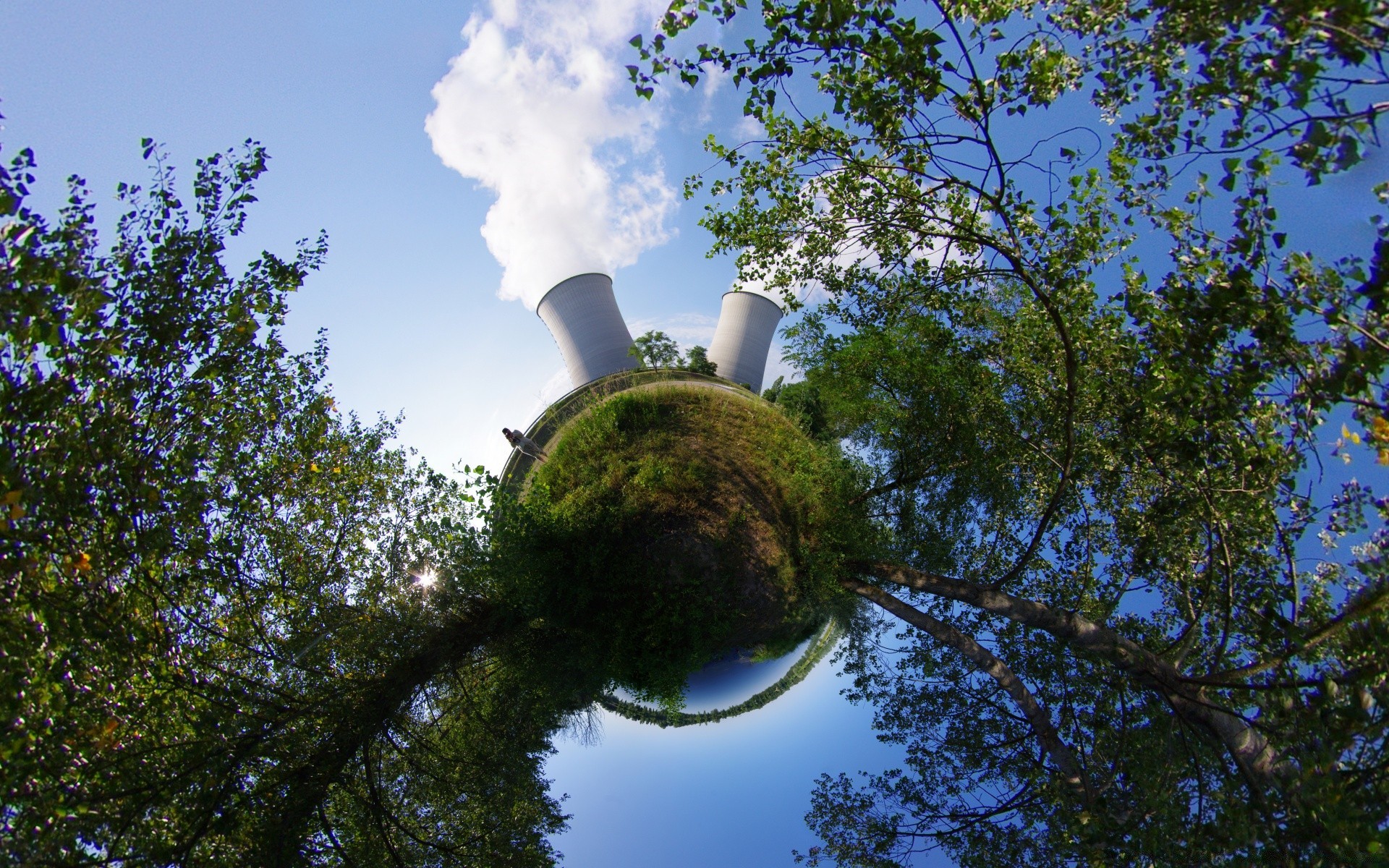 kreativ baum himmel natur park im freien umwelt landschaft holz blatt tageslicht flora sommer gutes wetter reisen