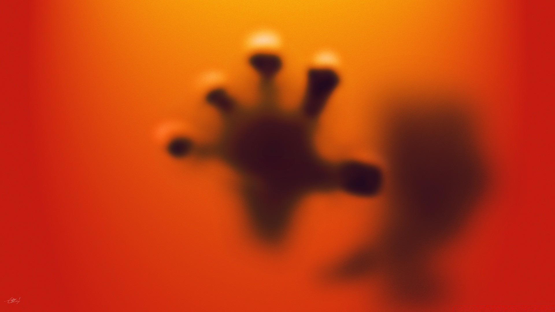 creative blur abstract still life flower motion silhouette one art light desktop