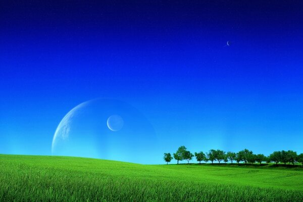 Green grass and a planet in a blue sky