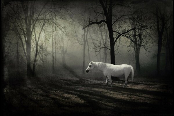 Unicorno nella favolosa foresta invernale