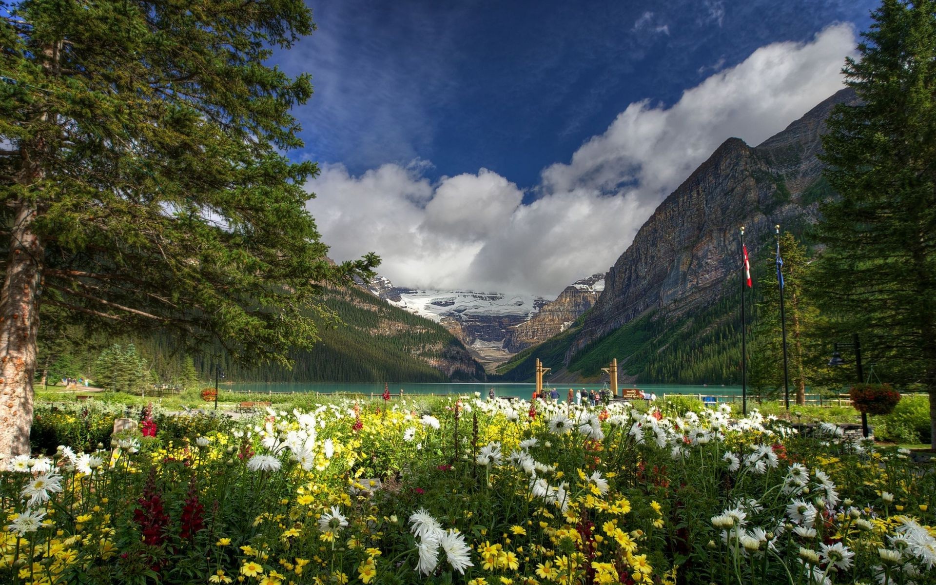 lugares famosos ao ar livre viagens natureza montanhas paisagem flor verão madeira céu cênica grama