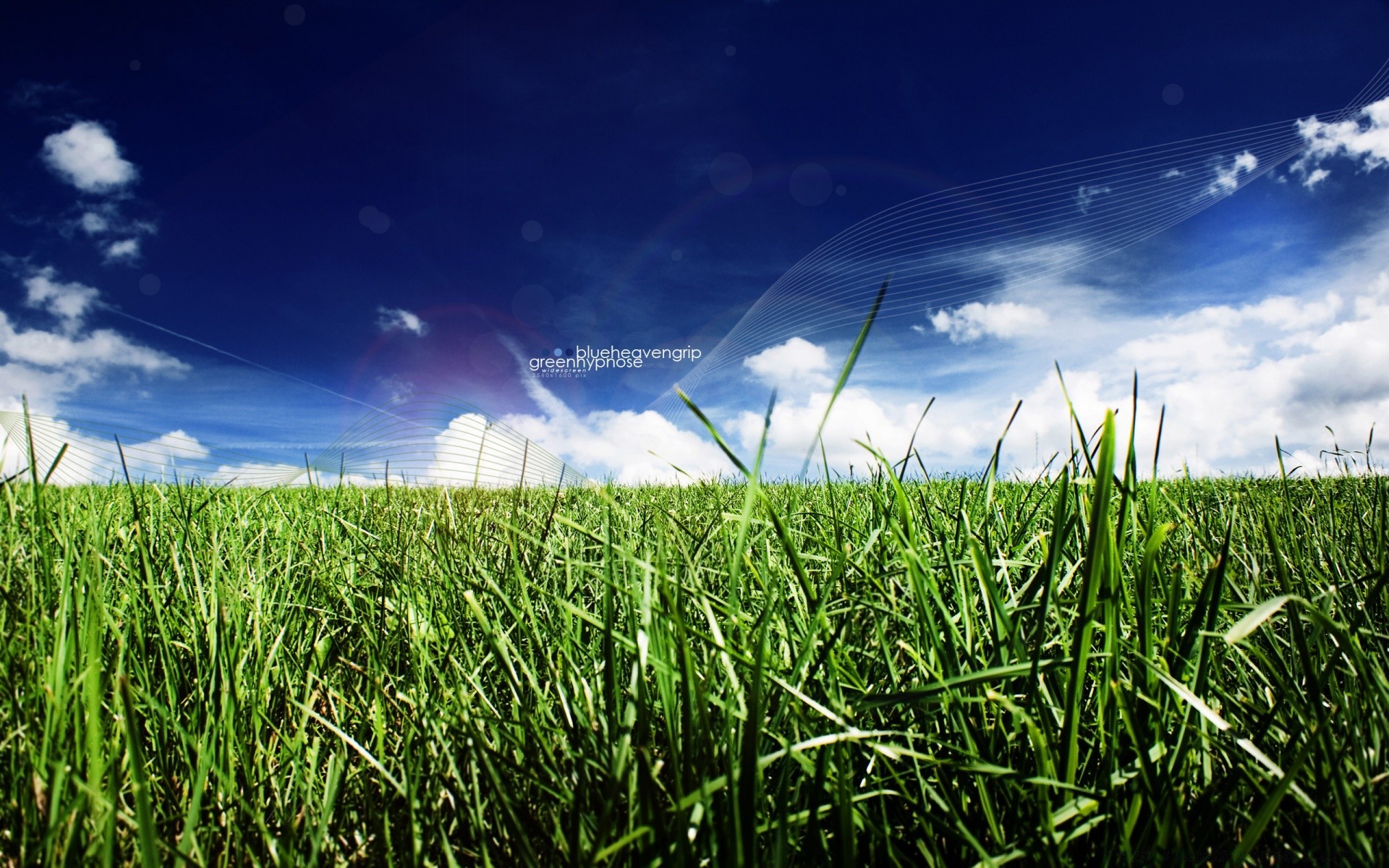 kreativ feld gras heu weide boden bauernhof ländlichen wachstum sonne himmel rasen landwirtschaft sommer landschaft land horizont umwelt ackerland szene