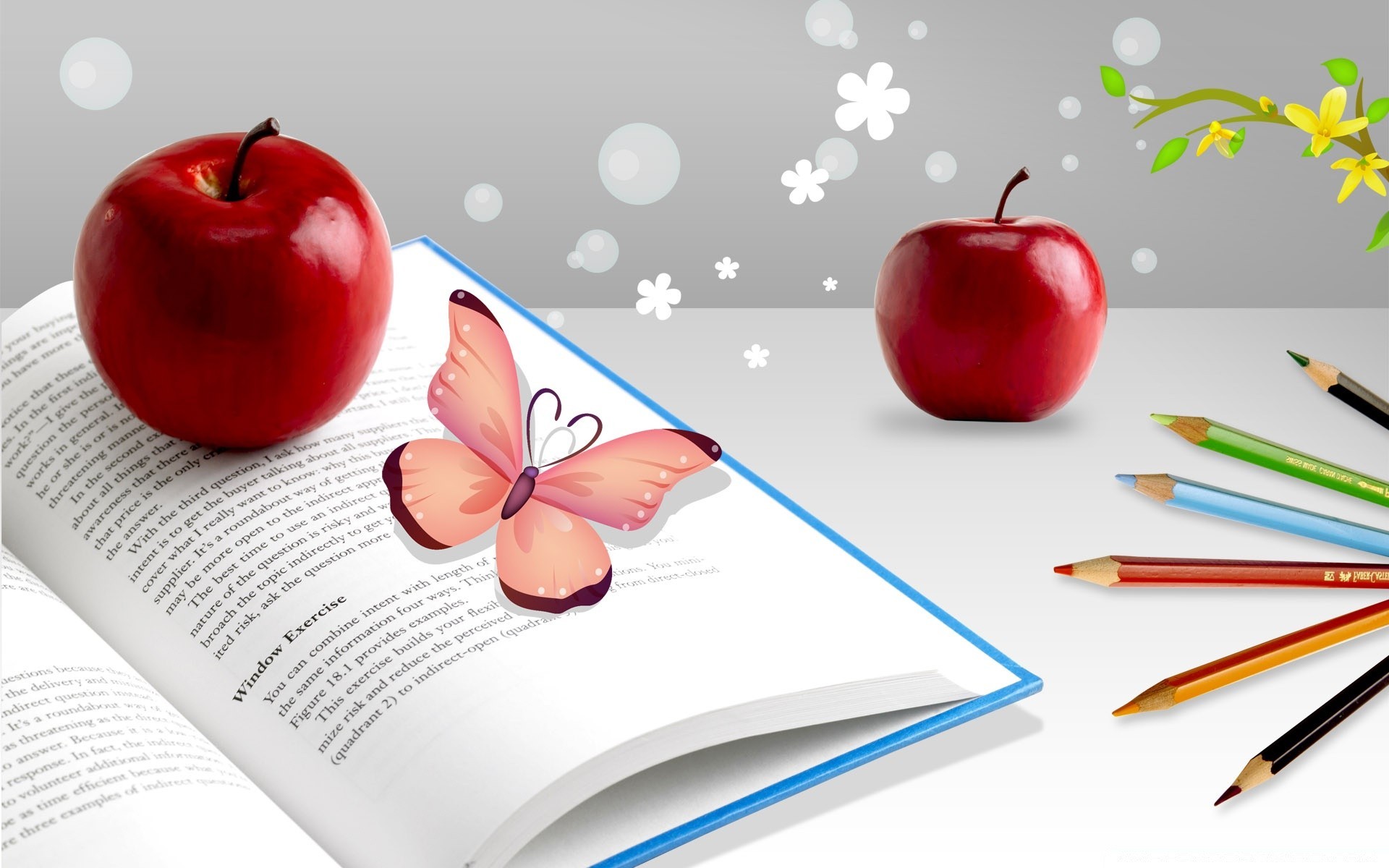 creative book paper education writing knowledge pencil apple school page college study notebook composition