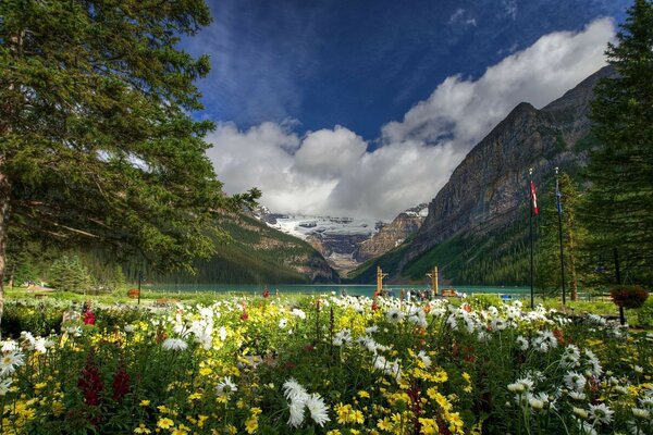 Splendidi paesaggi della natura di montagna