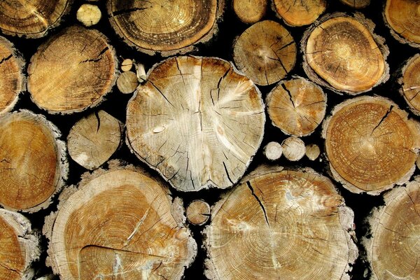 Creative photo for the desktop with the image of firewood