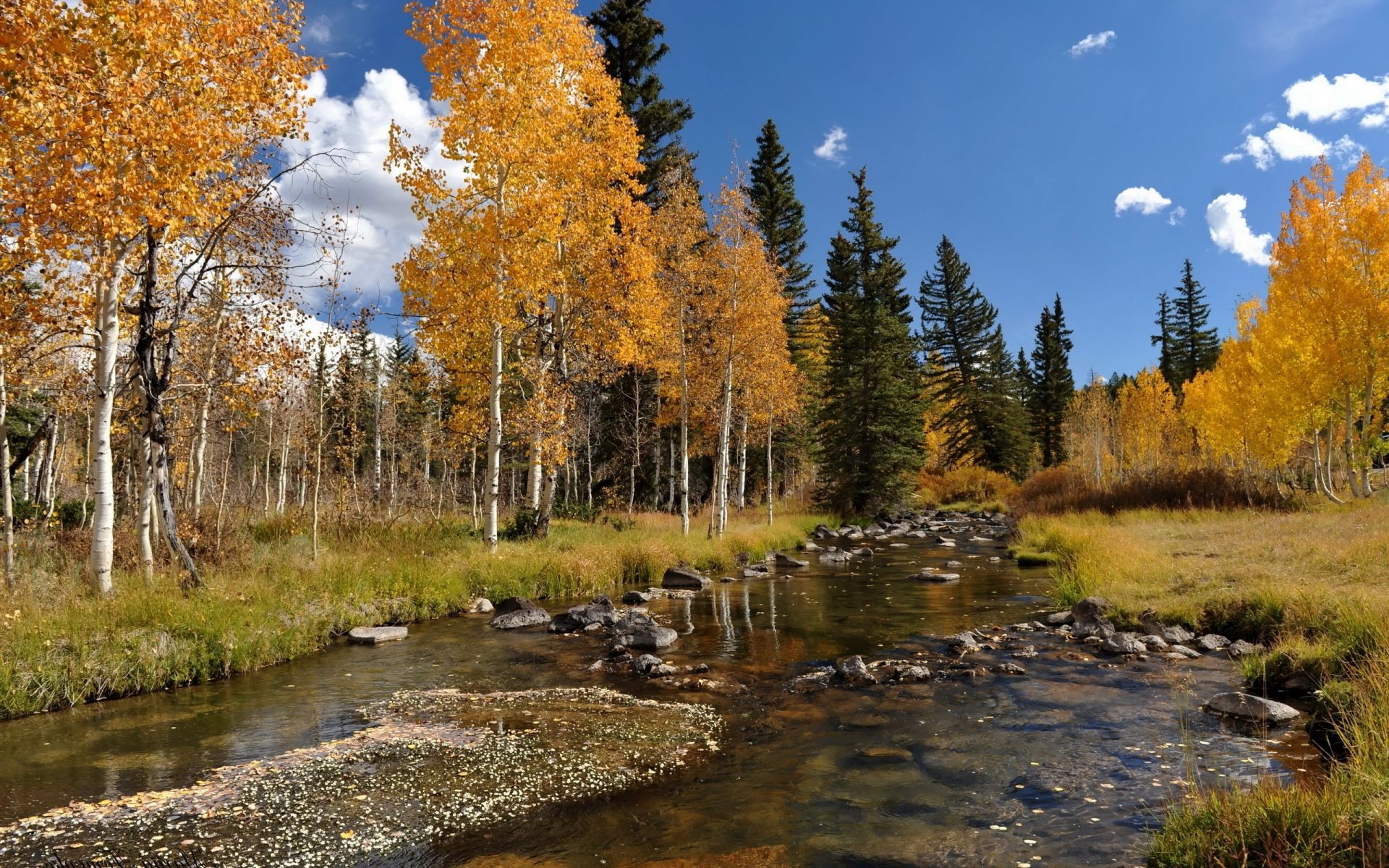 ríos estanques y arroyos estanques y arroyos otoño madera hoja naturaleza paisaje árbol al aire libre lago escénico agua salvaje parque temporada medio ambiente buen tiempo paisaje luz del día