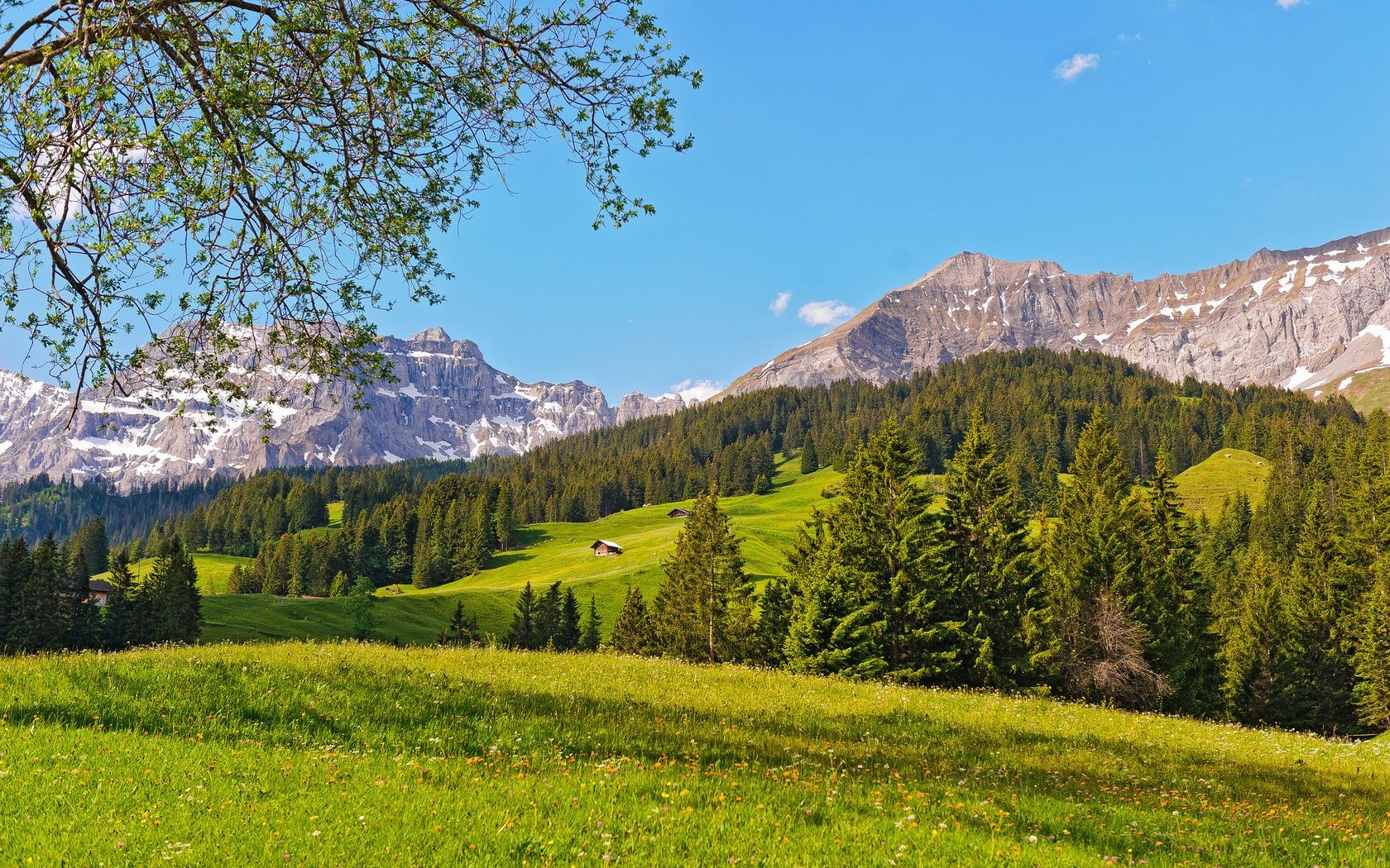 berge landschaft berge holz holz natur landschaftlich im freien himmel reisen hügel tal sommer spektakel landschaften nadelholz heuhaufen