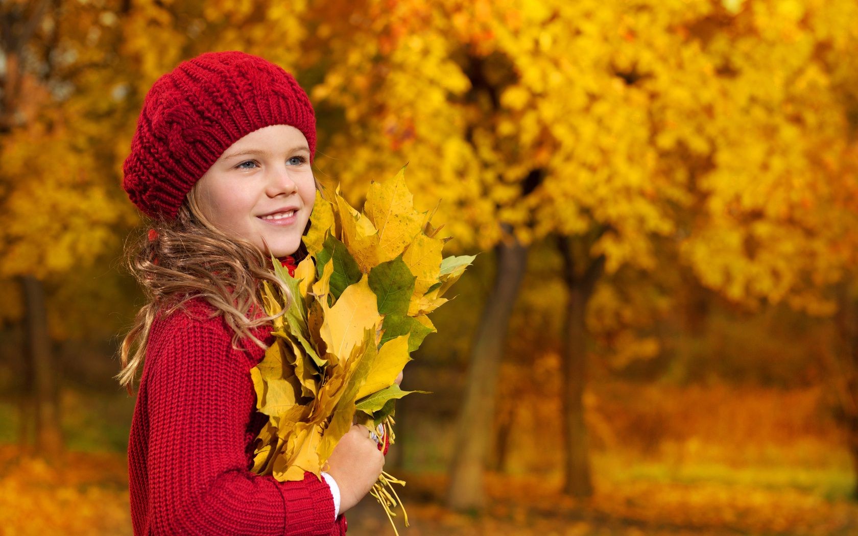 kinder im freien herbst natur im freien park ahorn blatt saison kind baum