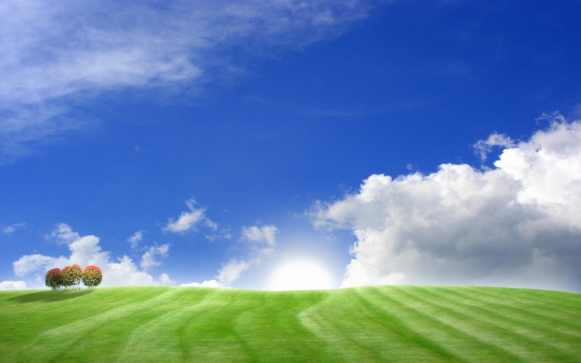 kreativ gras im freien des ländlichen raums landschaft weide natur himmel sommer landschaft gutes wetter feld sonne ackerland landwirtschaft idylle wachstum bauernhof hell