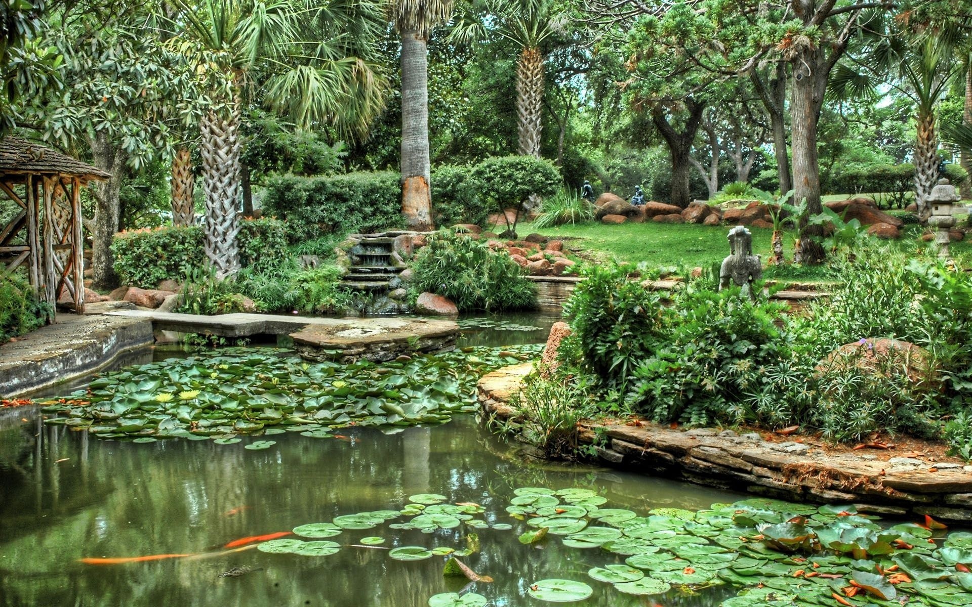 创意 水 热带 自然 木材 花园 树 叶 旅游 植物群 公园 游泳池 夏天 丛林 户外 环境 郁郁葱葱 景观 河 木