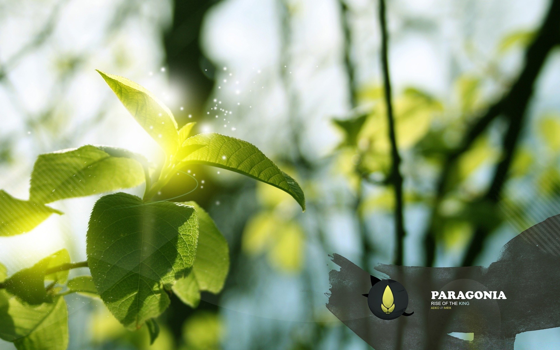 kreativ blatt natur wachstum im freien sommer hell flora gutes wetter