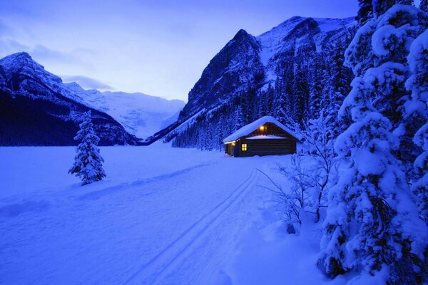 Winter forest with house and mountain view