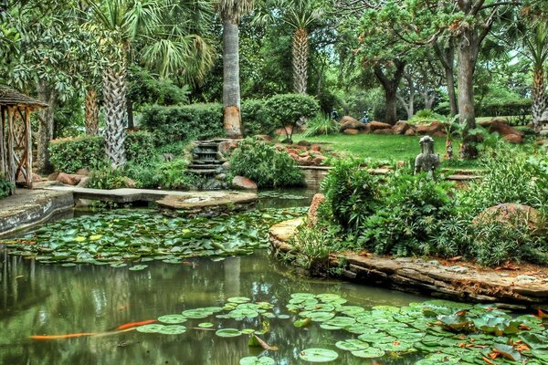 A hut near an overgrown pond in a tropical forest