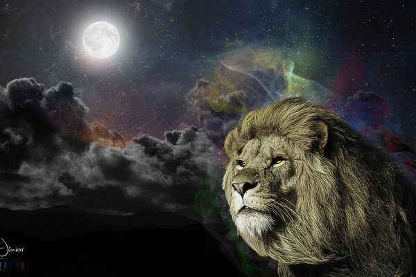 Lion sur fond de ciel nocturne