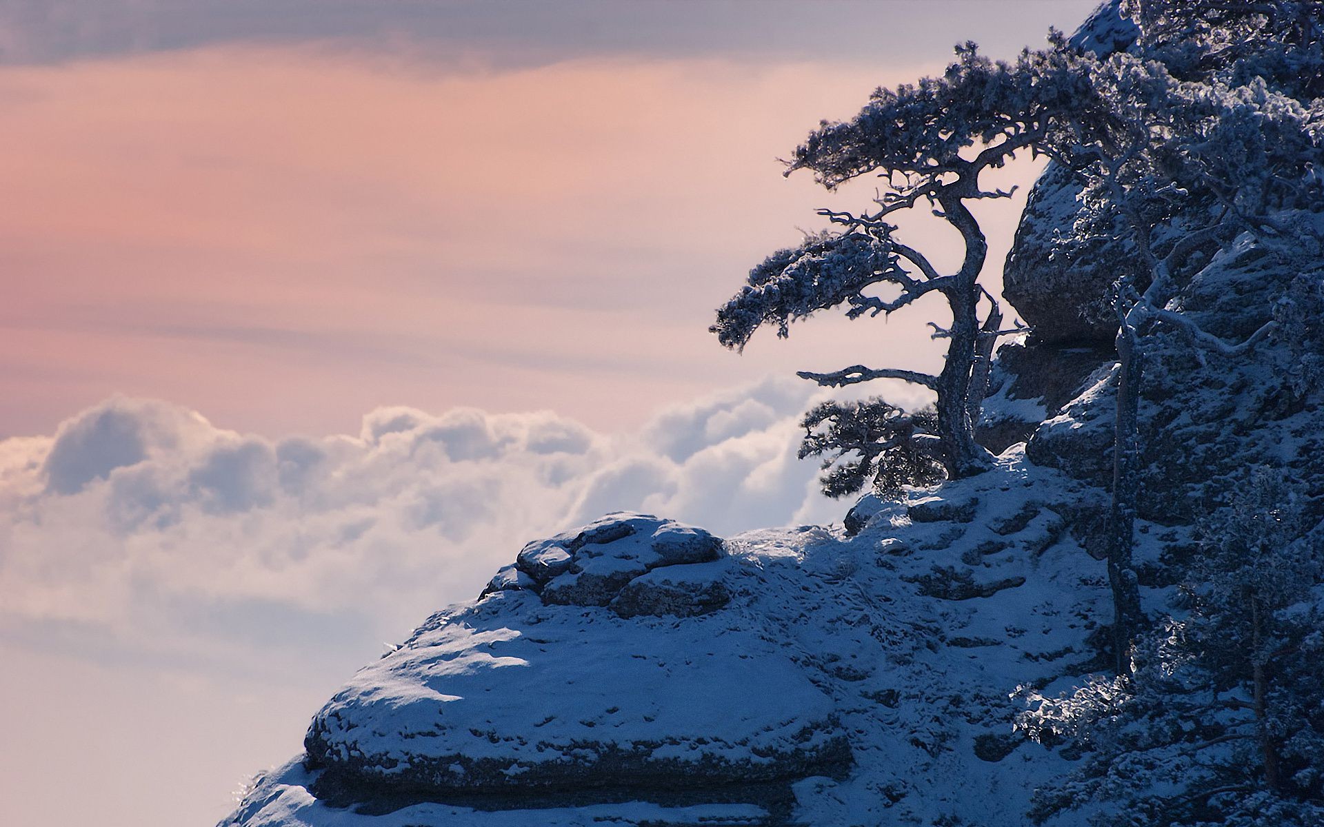 winter schnee eis kälte berge landschaft im freien gefroren frost natur reisen baum himmel dämmerung nebel