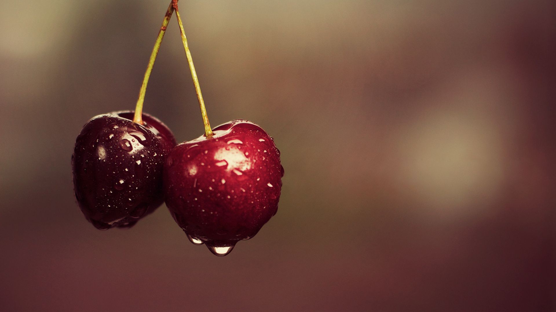 baies fruits repas délicieux nature cerise brille santé nature morte flou