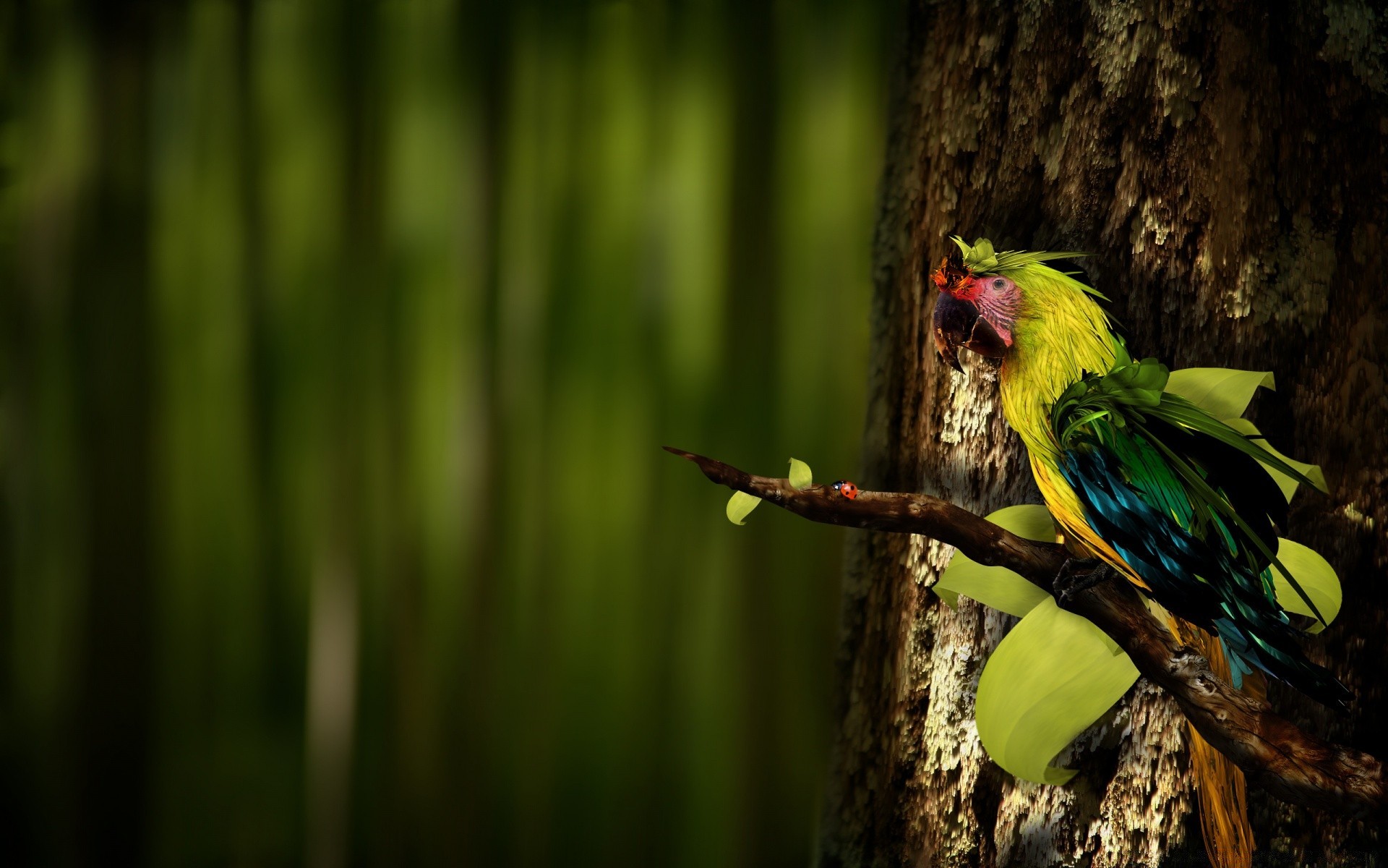 criativo pássaro natureza vida selvagem ao ar livre