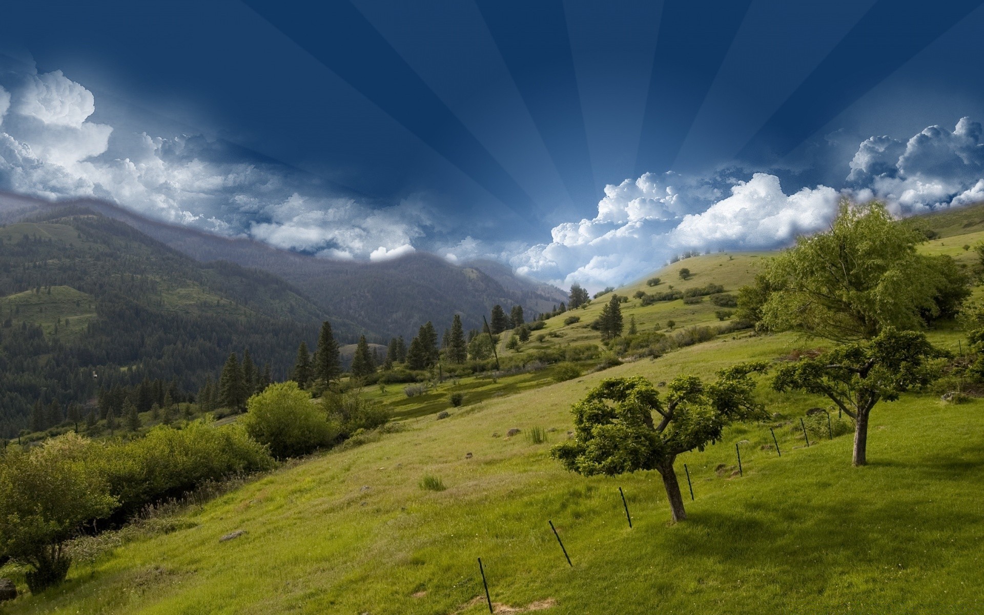 creative landscape tree nature sky mountain wood hill outdoors grass travel scenic hayfield summer countryside valley rural cloud field