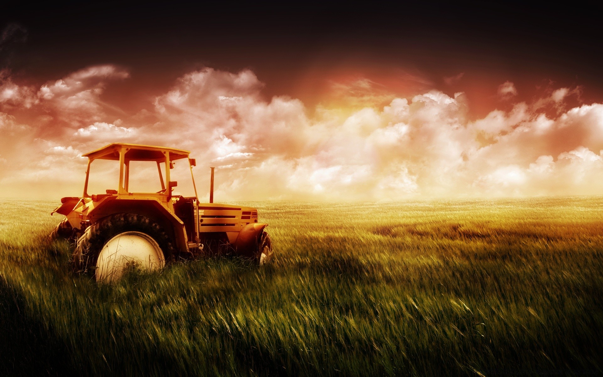 kreativ feld landwirtschaft bauernhof sonnenuntergang des ländlichen himmel landschaft landschaft sonne gras dämmerung bebautes land land im freien weide auto sommer ernte weizen