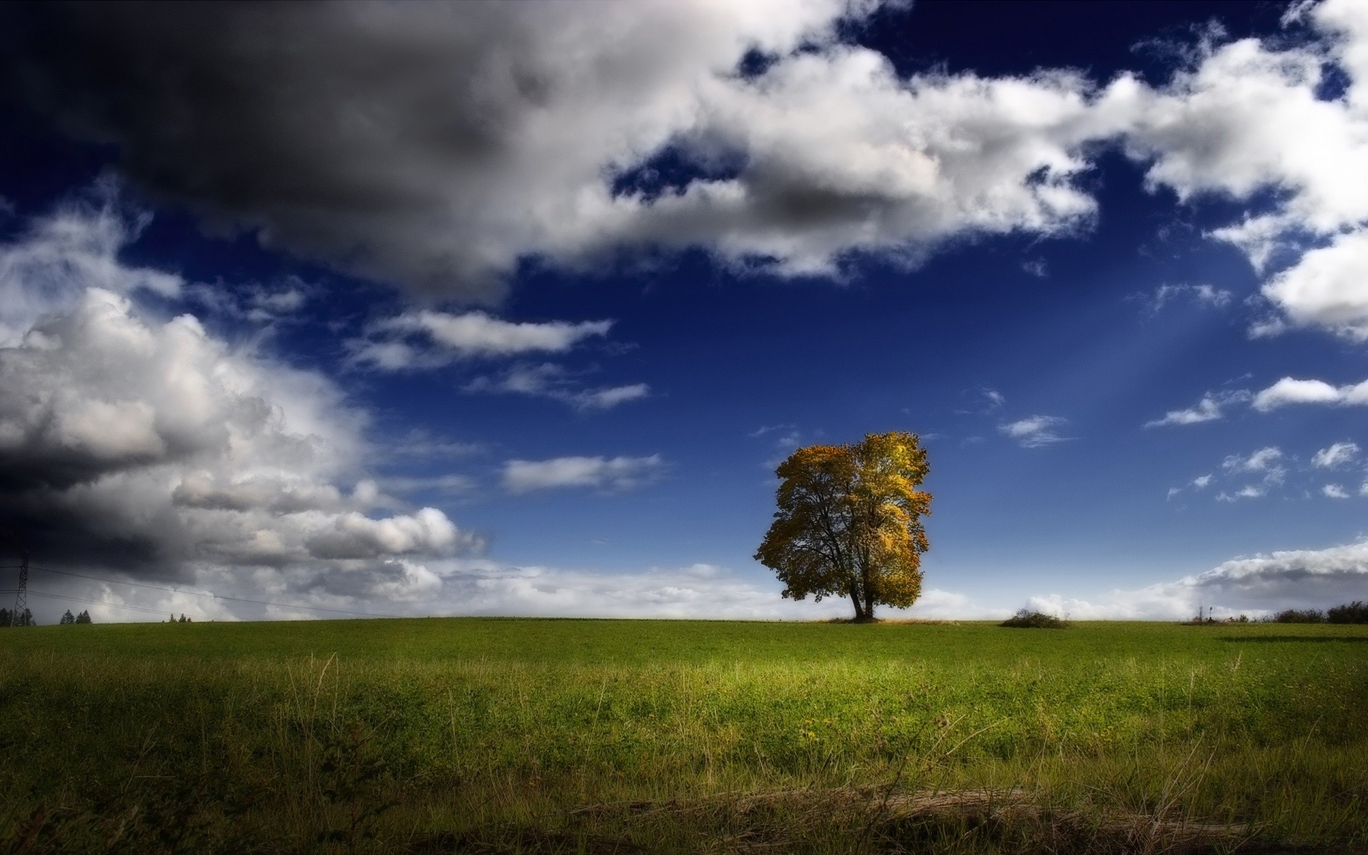 creativo paesaggio cielo natura erba albero campo tramonto all aperto luce fattoria campagna nuvola luce del giorno agricoltura sole rurale bel tempo orizzonte