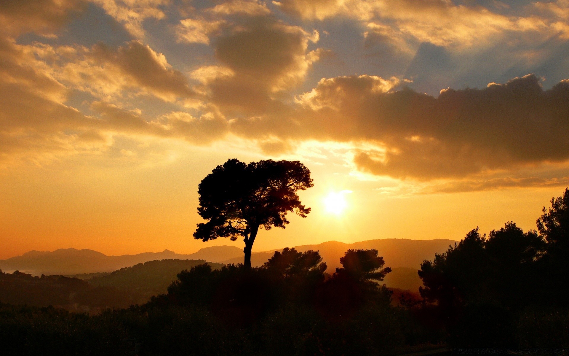 creativo tramonto alba sera illuminato sole crepuscolo cielo albero silhouette paesaggio natura all aperto bel tempo