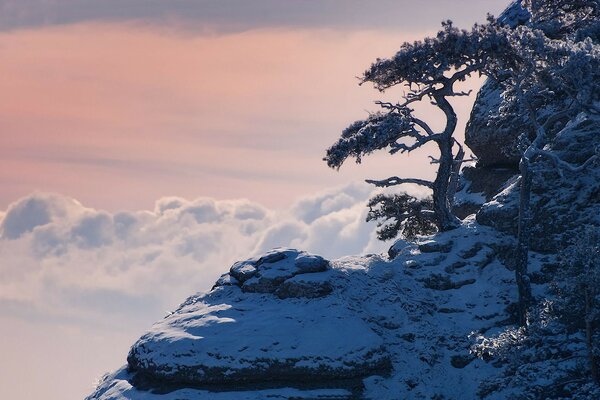 Invierno en la montaña blanca. Hielo