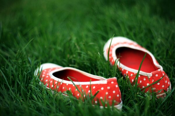 Red slip-ons with white polka dots lie on the green grass