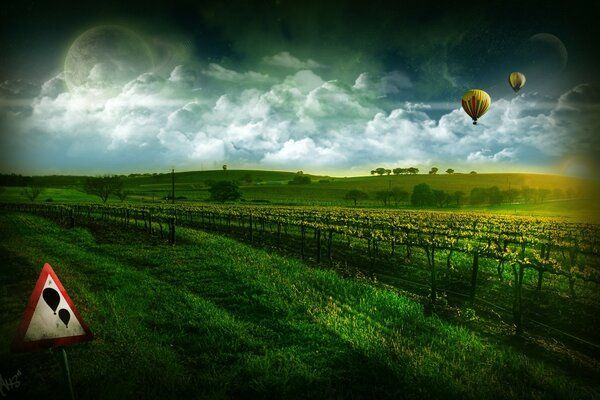 Two balloons in the middle of green fields