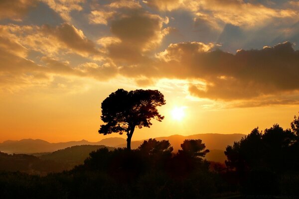 Hermoso cielo al atardecer