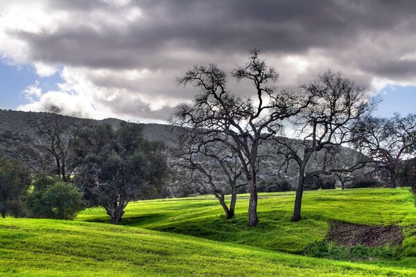 Green Valley waiting for a thunderstorm