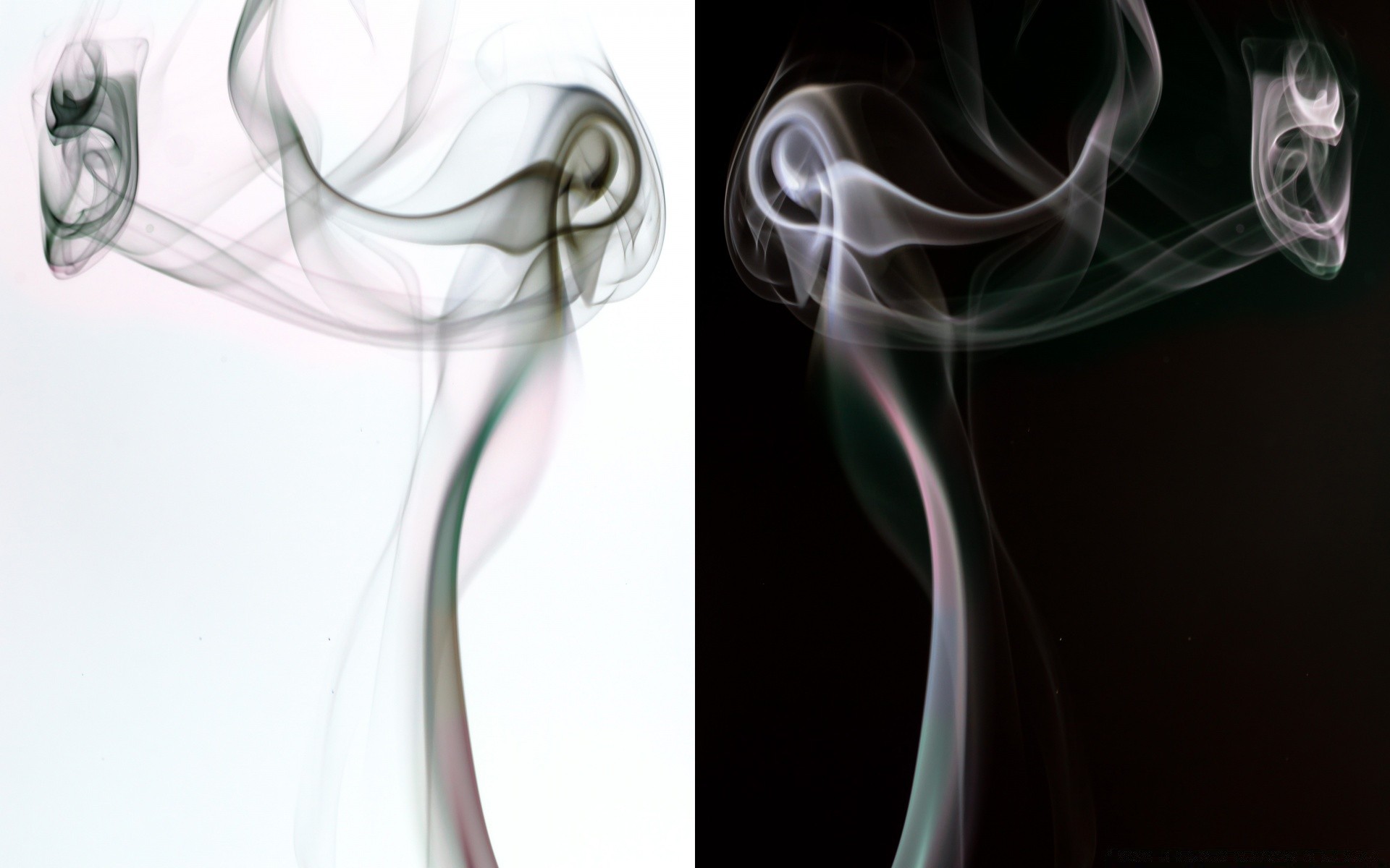 креатив фимиам дым туман пара кривая гладкая динамические сожгли волна слик запах след таинственный нежный движения аннотация пламя дымчатый формы
