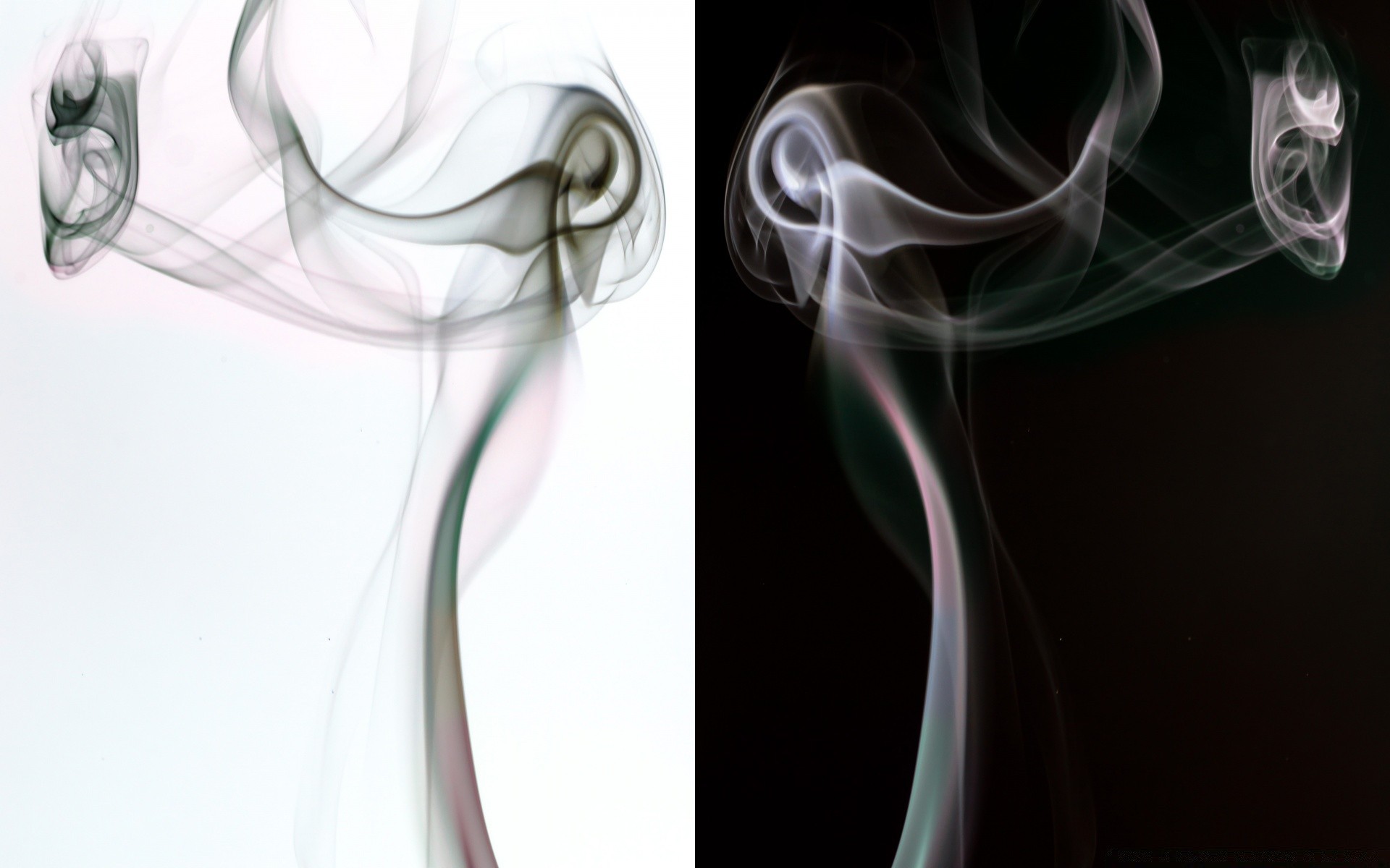 creative incense smoke mist steam curve smooth dynamic burnt wave slick smell trail mysterious delicate motion abstract flame smoky shape