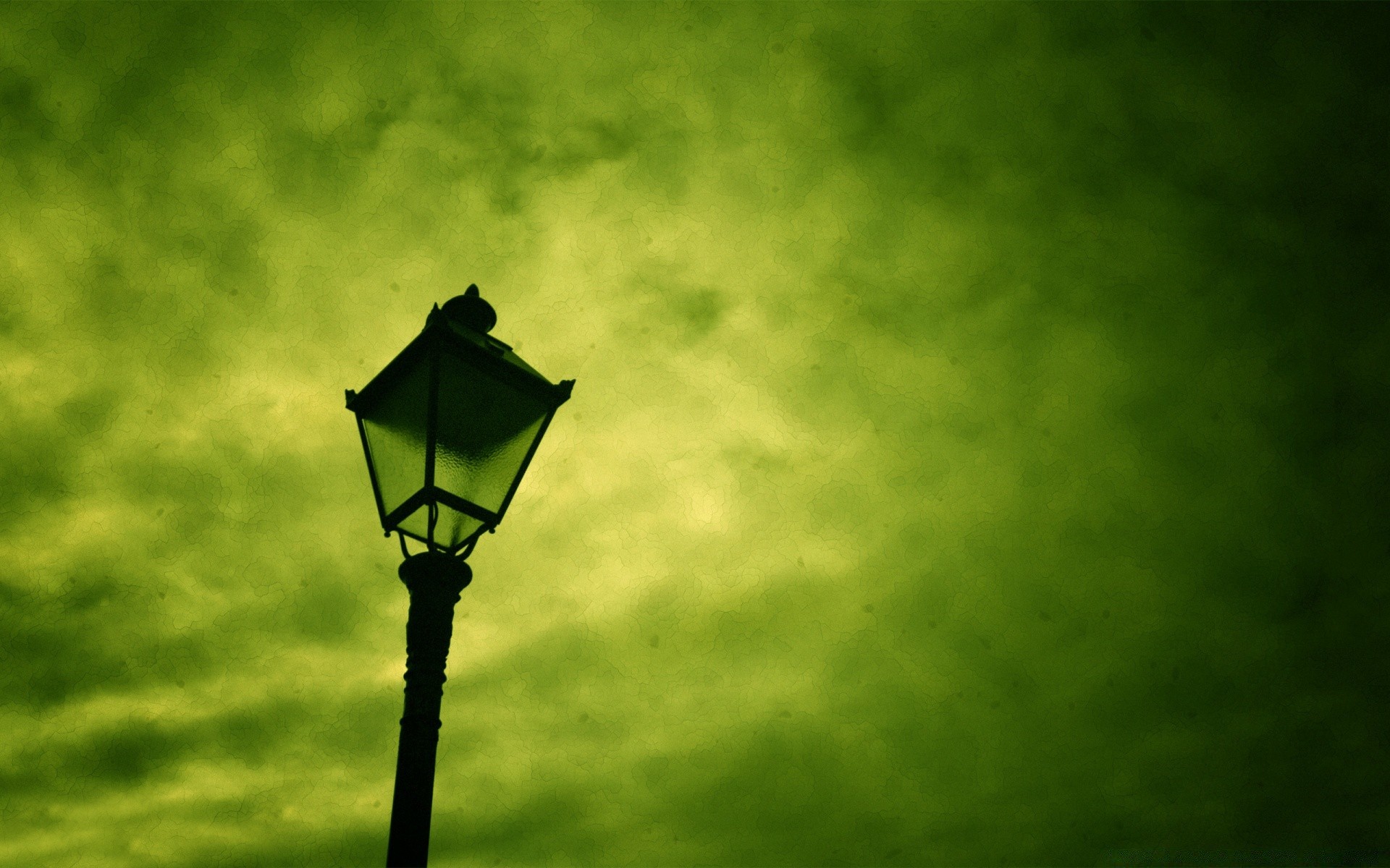 criativo natureza ao ar livre céu folha sol amanhecer luz escuro grama