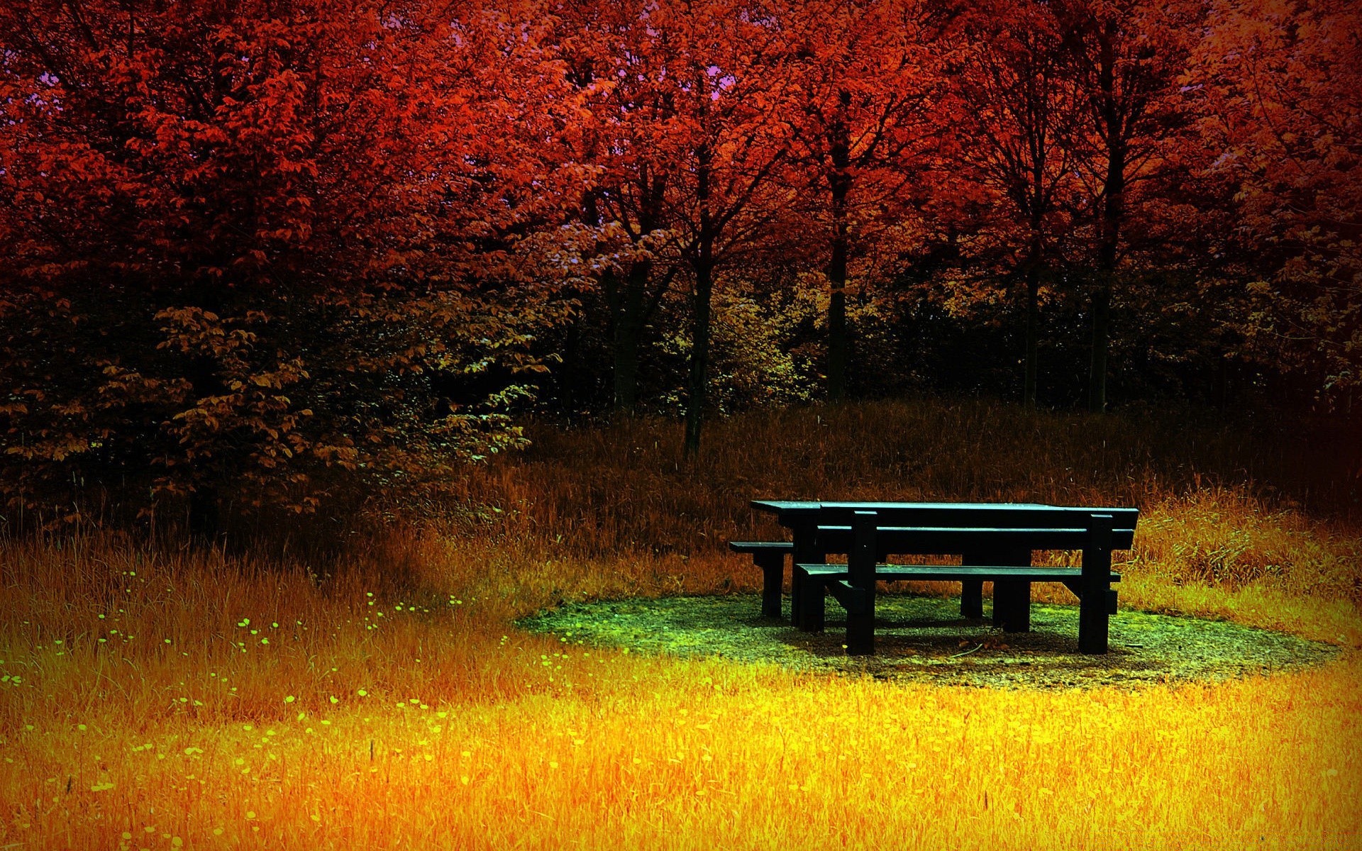 kreativ baum dämmerung landschaft herbst bank holz natur im freien sonnenuntergang park blatt gras