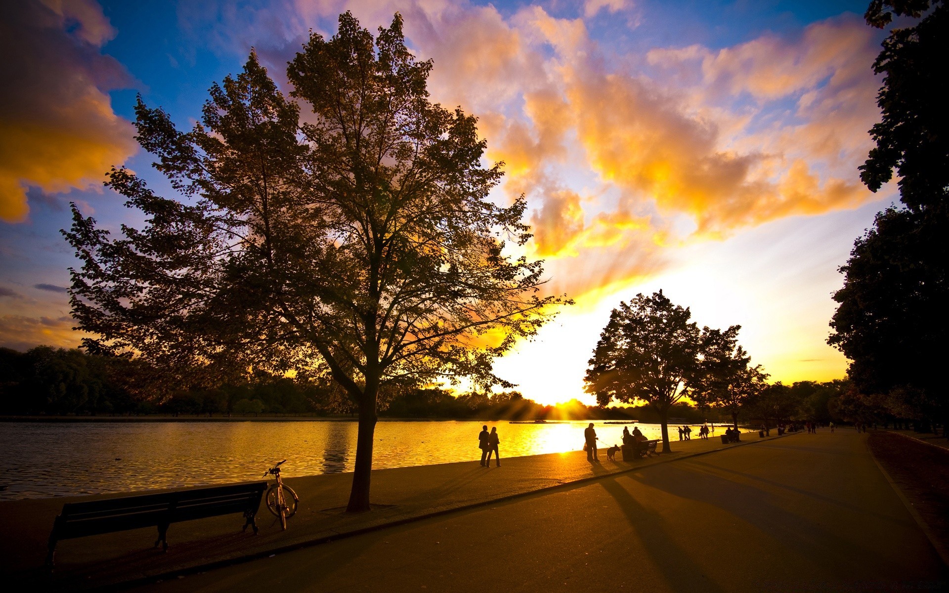 creativo puesta de sol amanecer sol noche árbol agua lago naturaleza crepúsculo paisaje cielo buen tiempo al aire libre reflexión