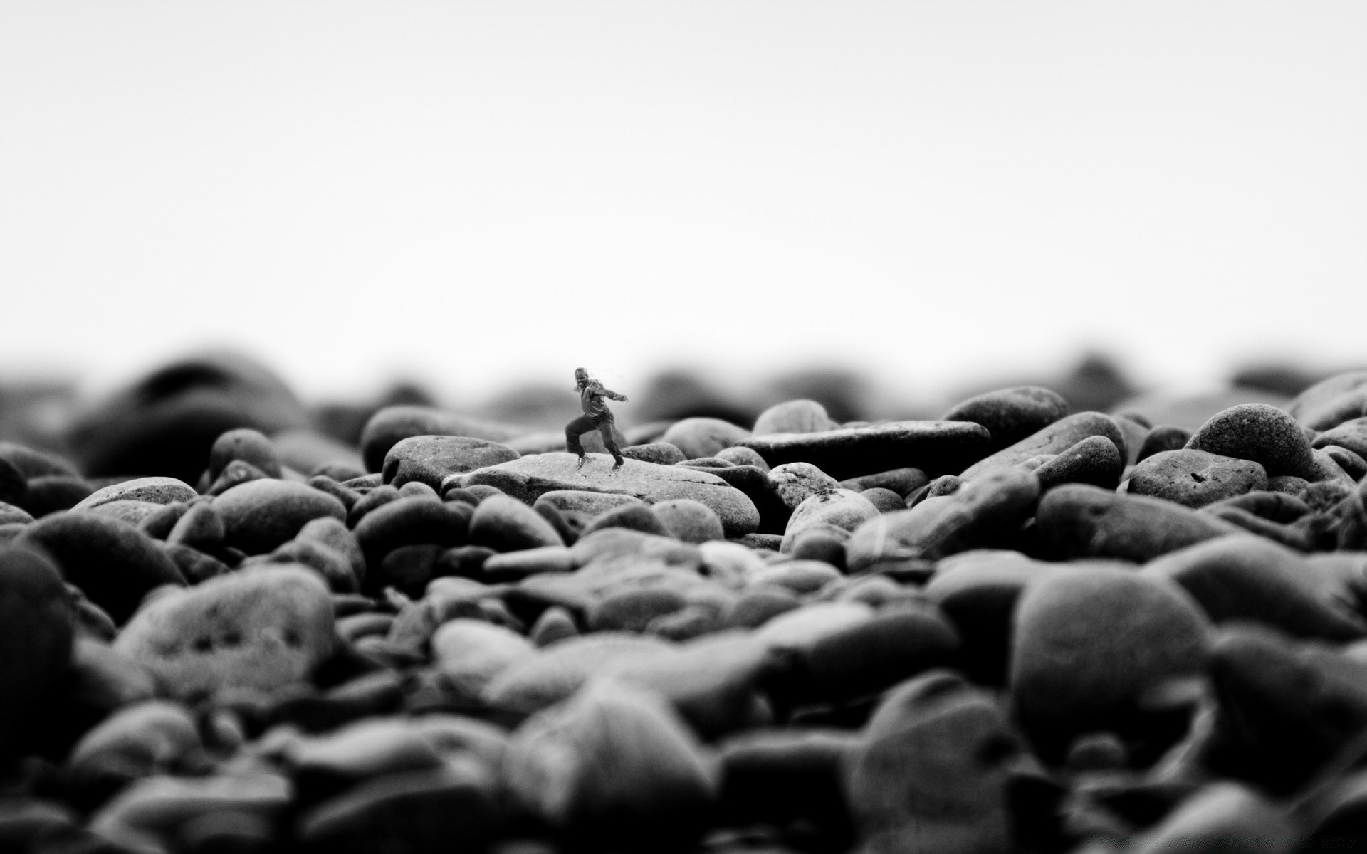 creative coffee food bean close-up caffeine monochrome perfume dark drink desktop dawn relish close batch texture seed still life pile nature