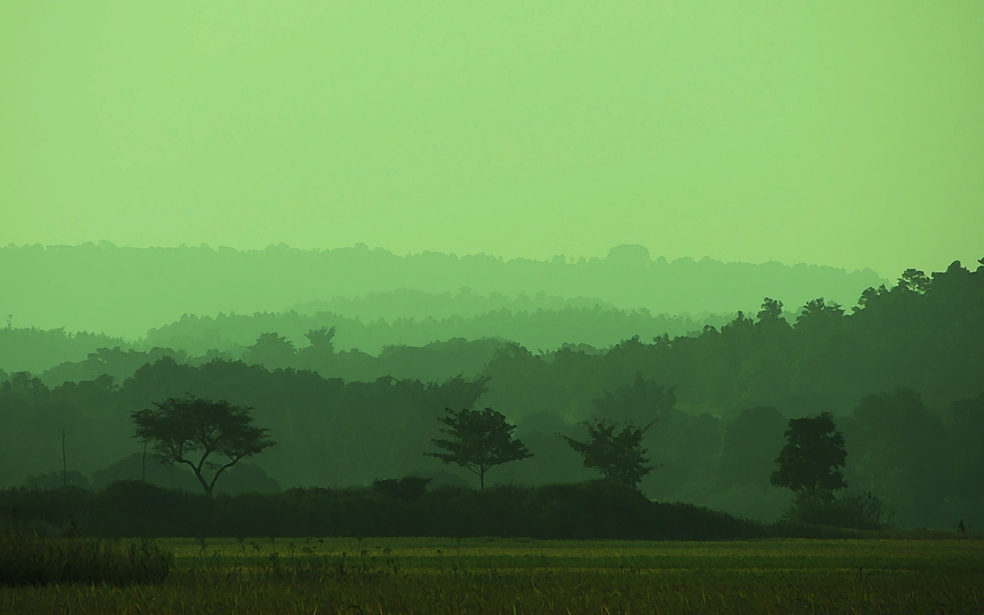 criativo paisagem árvore névoa terra cultivada névoa colina natureza amanhecer agricultura ao ar livre campo montanhas fazenda céu tempestade