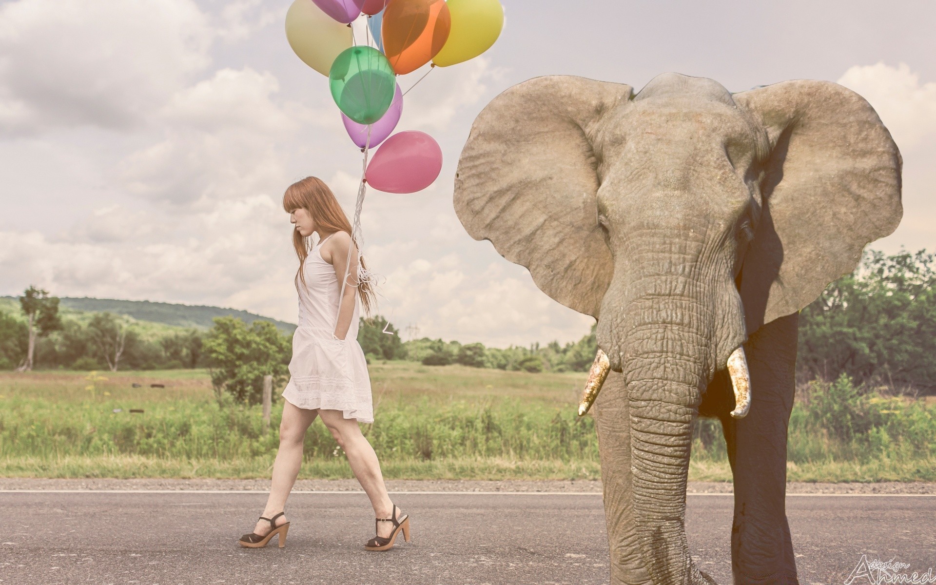 kreativ kind natur im freien vergnügen reisen elefant säugetier liebe urlaub himmel mädchen