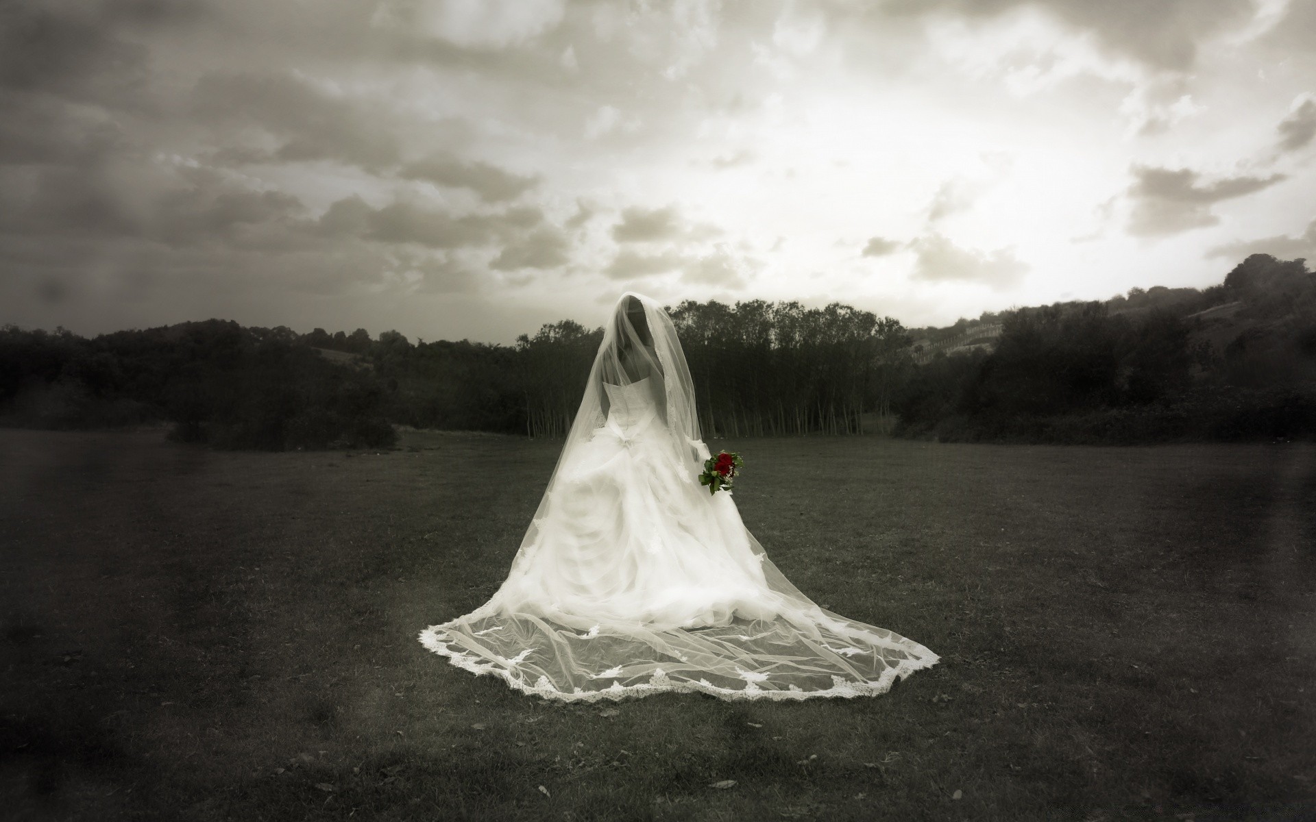 creative wedding bride veil landscape sunset sky outdoors water nature