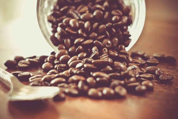 Grains de café éparpillés sur la table