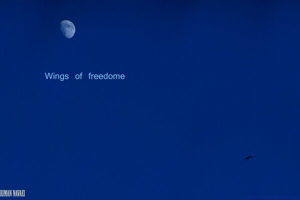 Mezza luna in un bellissimo cielo blu