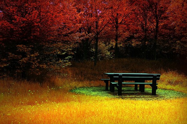 Beisammensein Alter ist keine Freude im Herbst