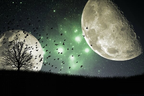 Moon and black birds in the night