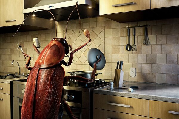 Cafard dans la cuisine se prépare à manger