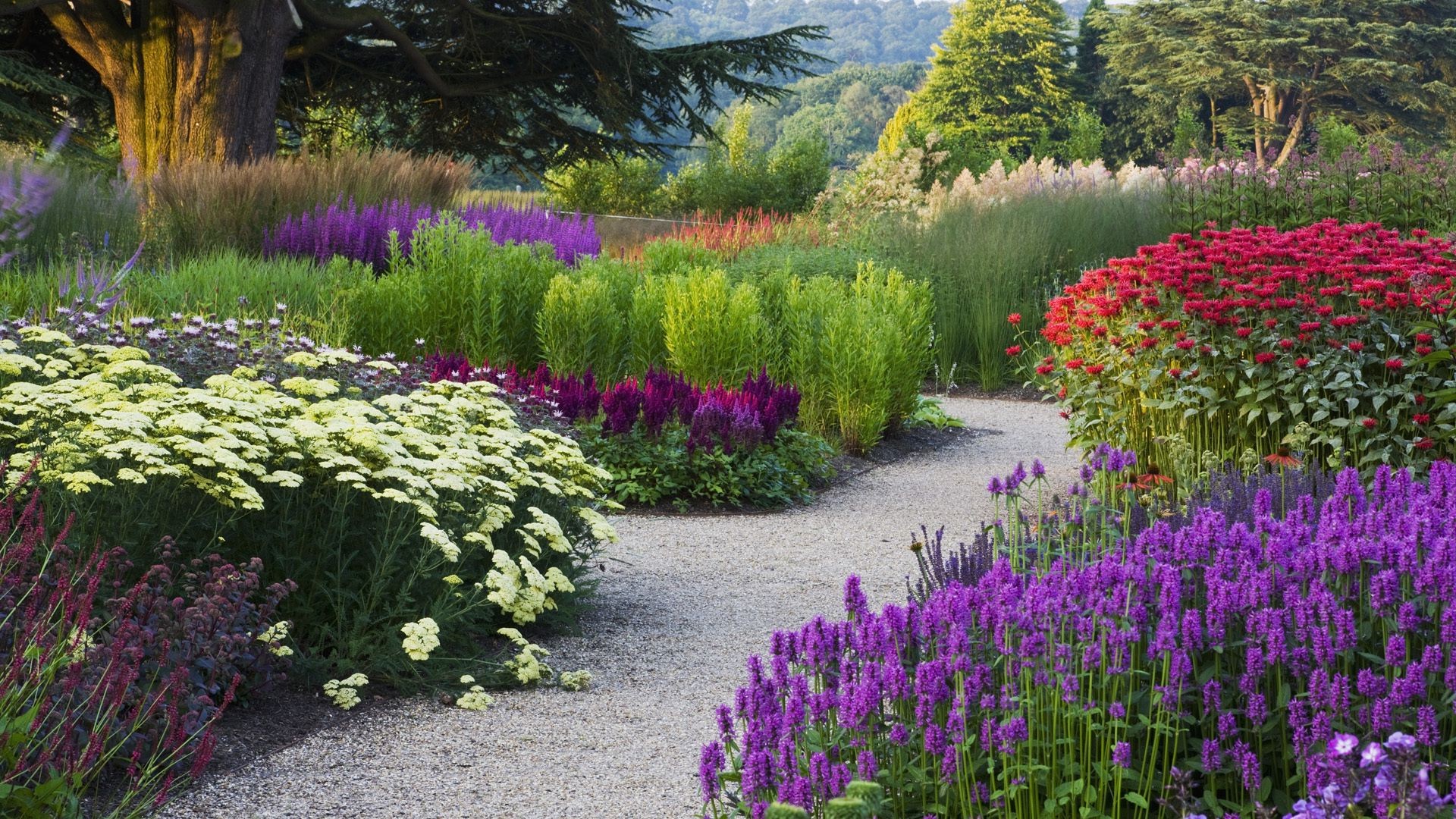 flowers flower garden flora nature blooming summer landscape lawn outdoors park grass floral leaf violet color season shrub perennial growth