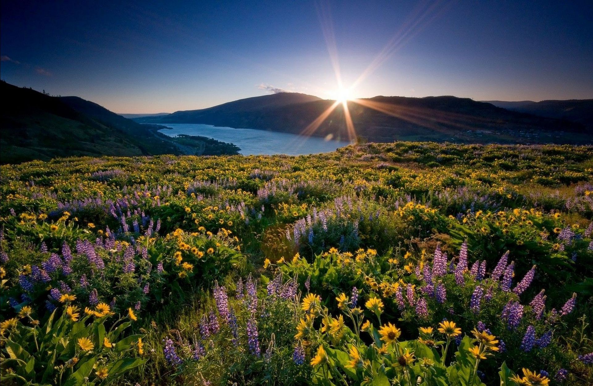 campos prados y valles paisaje naturaleza amanecer altramuces montañas al aire libre flor heno hierba verano pastizales cielo pintoresco rural puesta del sol buen tiempo sol campo viajes