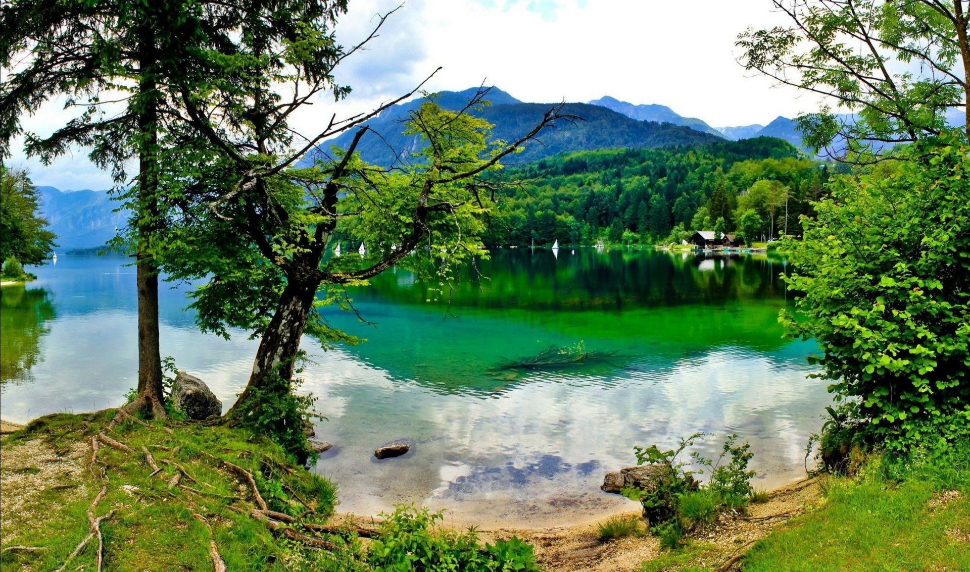 ríos estanques y arroyos estanques y arroyos naturaleza paisaje agua árbol madera verano viajes pintoresco al aire libre lago cielo espectáculo hierba paisaje hermoso parque montañas buen tiempo escena