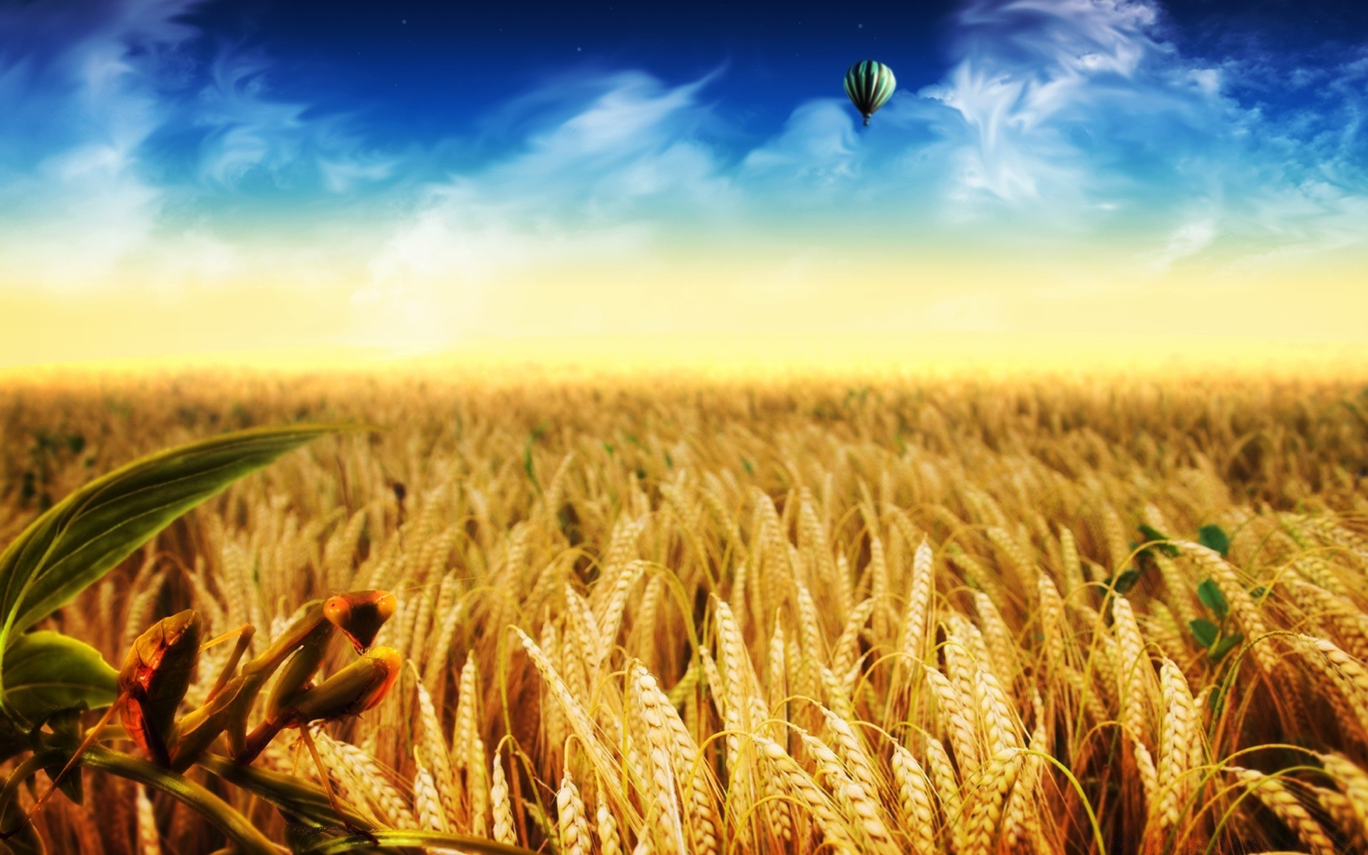 креатив хлопья пшеницы урожай ферма кукуруза хлеб сельское хозяйство пастбище поле сельских золото рост соломы рожь семян сельской местности возделываемые земли расти ячмень