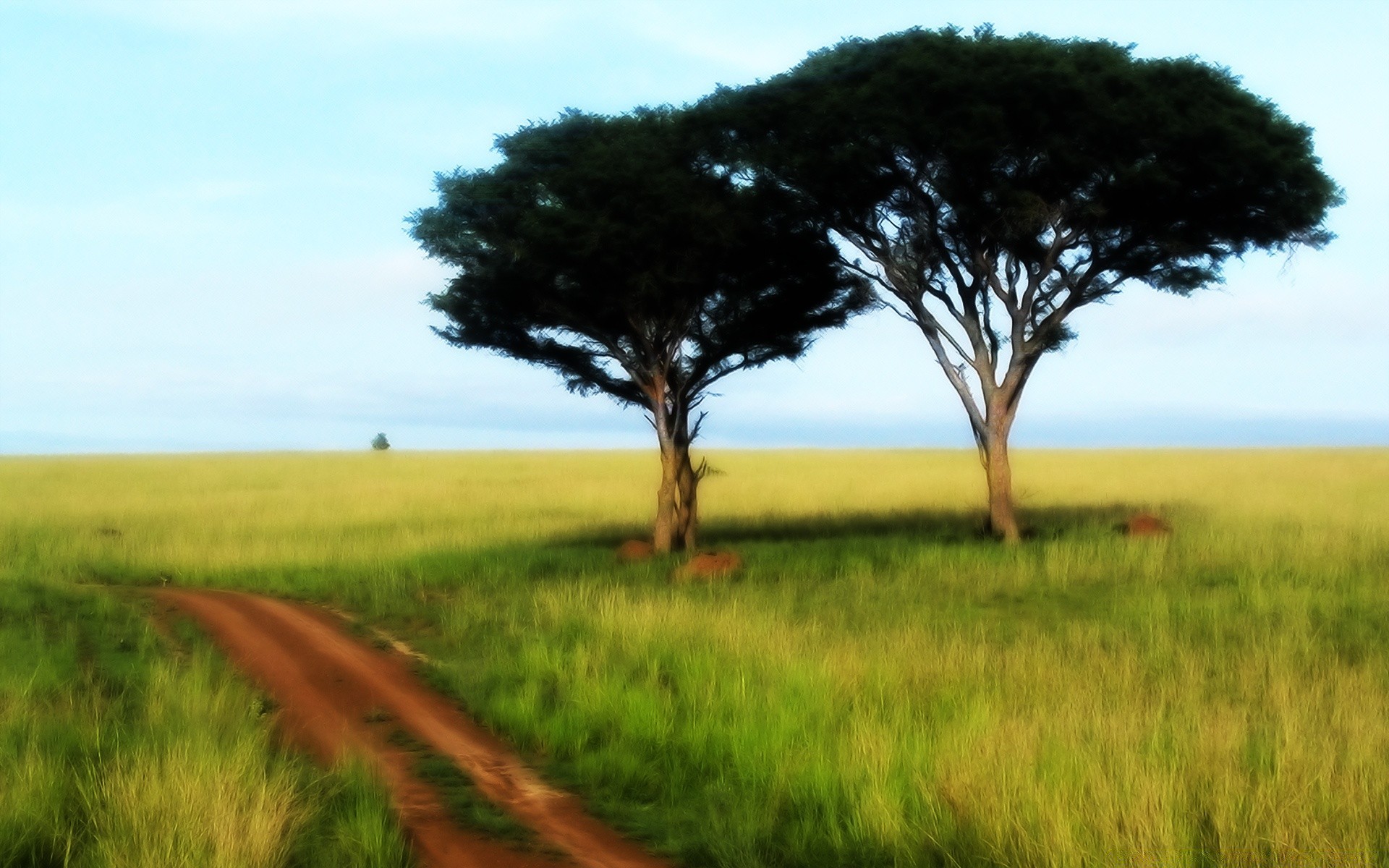 creative landscape tree grass nature field outdoors cropland countryside sky rural hayfield