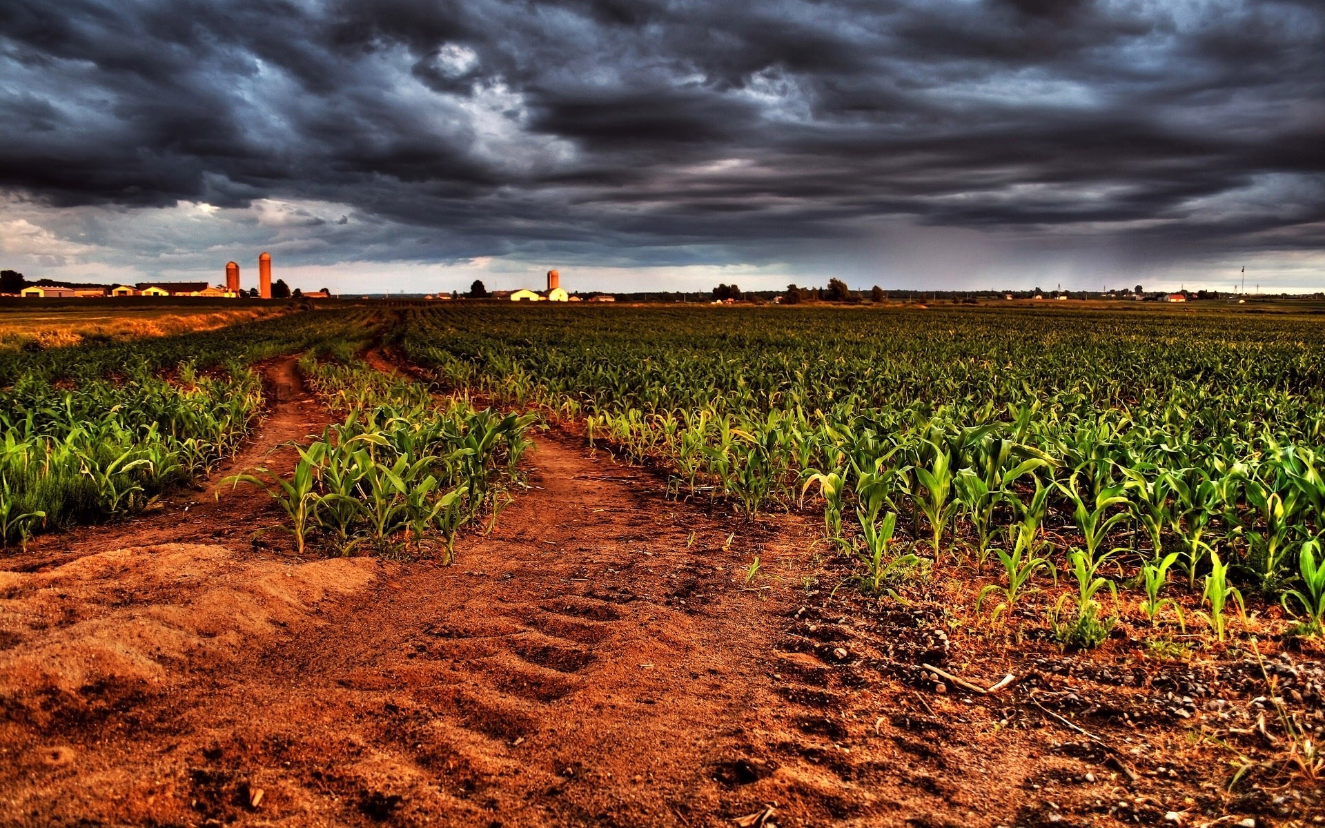 création agriculture sol ferme nature paysage rural croissance champ ciel à l extérieur récolte terres agricoles flore pâturage été pays terre sphérique campagne